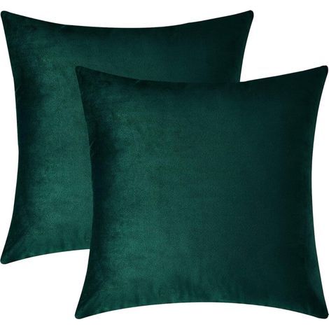 Ensemble de deux taies d'oreiller en velours, taies d'oreiller carrées décoratives, douces et confortables, convenant aux canapés, chambres et salons, 45 x 45 cm. (1/5)