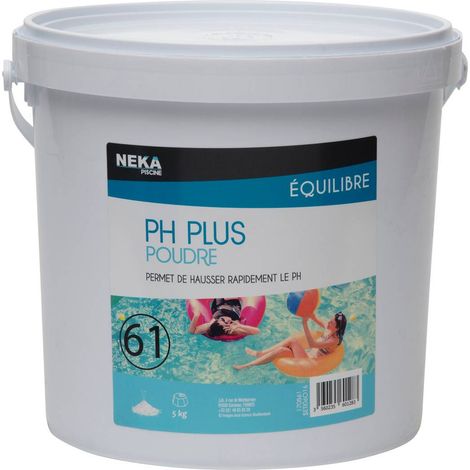 PH Plus Poudre 5 kg - Intex