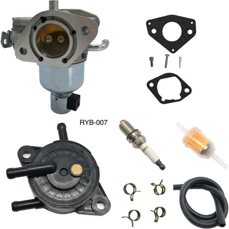 Vergaser mit Kraftstoffpumpe und Filter, kompatibel mit 22 PS 23H Motoren der Serie 7000 (Ref. 707-017-2). (1/4)