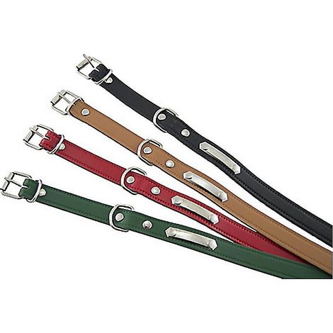 COLLAR PERRO LISO C/PLACA 50CM (1/3)