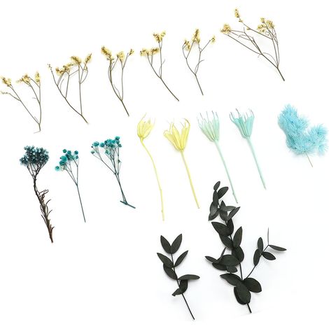 Sachets de fleurs séchées à faire soi-même, bougies aux fleurs préservées, diffuseurs parfumés, résines époxy, matériaux floraux et fournitures pour fleurs fraîches. (1/5)