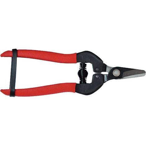 FORBICI COGLIUVA cm 16