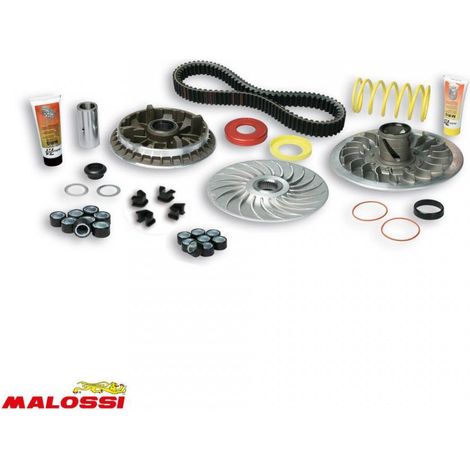 Variateur Malossi pour Scooter Yamaha 500 Tmax 2004 à 2011 (1/4)