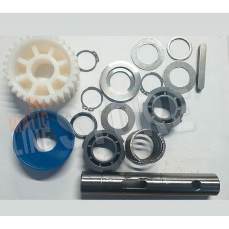 Groupe de réduction BFT I098415 2609250 pour moteur Deimos compatible Lem, pièce détachée BFT