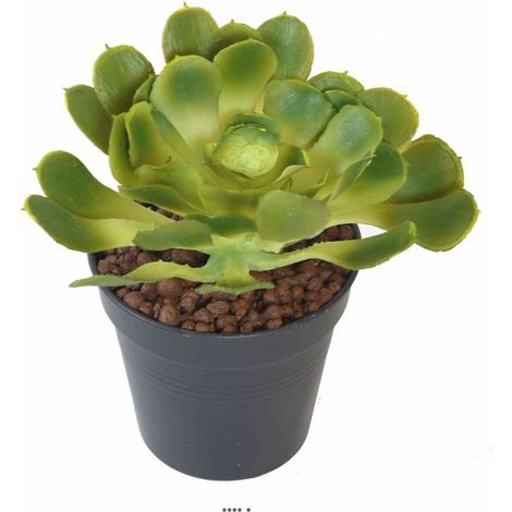 Joli Aloe artificiel en piquet H 18 cm L 15cm Vert (1/3)