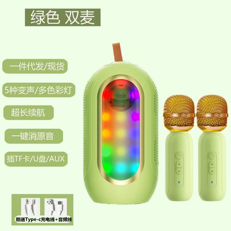 Enceinte Bluetooth (verte), enceinte karaoké sans fil avec microphone intégré (1/5)