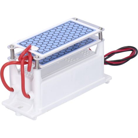 Générateur d'Ozone 10G 110V Portable avec Cellule Céramique pour Purificateur d'Air Industriel (1/5)