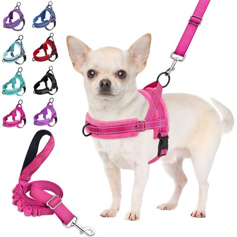 Dog Harness and Lead Set - Quick Fit Small Dog Harness - Padded Vest Harness for Small Dogs with Safety Harness and Adjustable Bungee