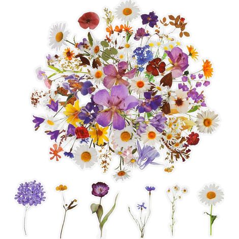Set of 120 transparent floral stickers for scrapbooking, crafts, cards, laptops (60 styles) (1/5)