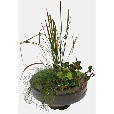 Panier flottant plante de bassin diam. 30 cm