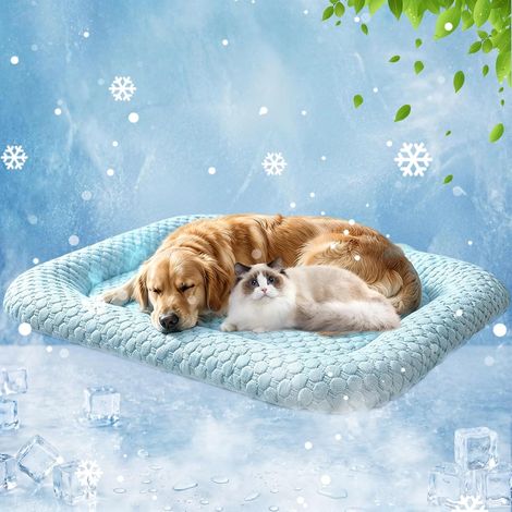 Tapis rafraîchissant sans Gel pour Chats(Blau-B,60x80 cm) (1/5)