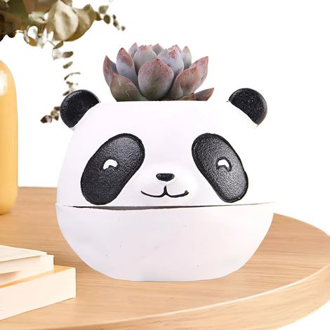 Nouveau pot de fleurs d'intérieur pour plantes succulentes au design nordique 2026 (1/5)