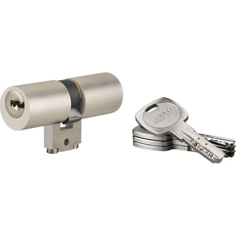 THIRARD - Cylindre adaptateur rond T2 BLCT, 33x33mm, diamètre 22mm, 4 clés - THIRARD