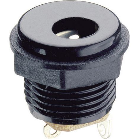 Lumberg NEB/J 21 C Niedervolt-Steckverbinder Buchse, Einbau vertikal 6.3 mm 2 mm 1 St.