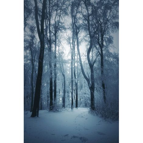 Tableau sur verre synthétique paysage glacé 65x97 cm - Impression sur Verre synthétique - Image HD  imprimée sur Verre synthétique - Tableau mural décoratif - Fabriqué en France