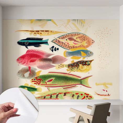 Papier peint autocollant adhésif avec motifs pour salon et chambre accessoire stylé pour votre intérieur Poissons colorés 152x104 cm (1/5)