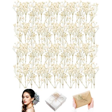 50 Pièces Fleurs Séchées, Vraies Blanches Fleurs Sechees Naturelles, Résistant à la Décoloration, Mini Gypsophile Séché pour Spécimens Botaniques, Cadres Photo, Nail Art (1/5)