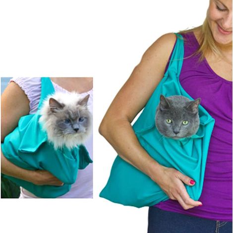Hunde-/Katzen-Tragetasche/Transportbox - Blau (1/4)