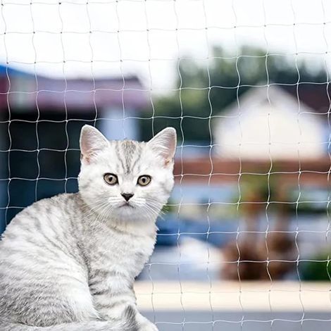 Filet Chat Balcon, Filet de Balcon Protection sans Perçage Filet Protection Chat Filet de Protection Chat Transparent Filet Anti Oiseaux pour Terrasses, Fenêtres, Lucarnes et Portes(2 x 3m) (1/5)