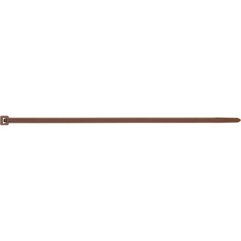 BN-CO - FASCETTA IN NYLON (POLIAMMIDE 6.6) COLORI 02,5X0100-MA ( 100 pz.)
