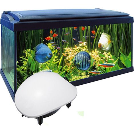 Trade Shop - Luftpumpe, Belüfter, Belüfter für Aquarienfische, 2,1 l/min, extern, 1,5 W, AP-8801 - (1/3)