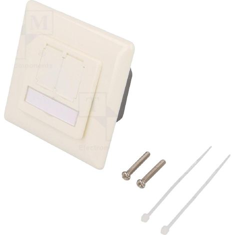 Prise murale angulaire 40o RJ45 femelle X2 Cat.6 - Blanc ambiant