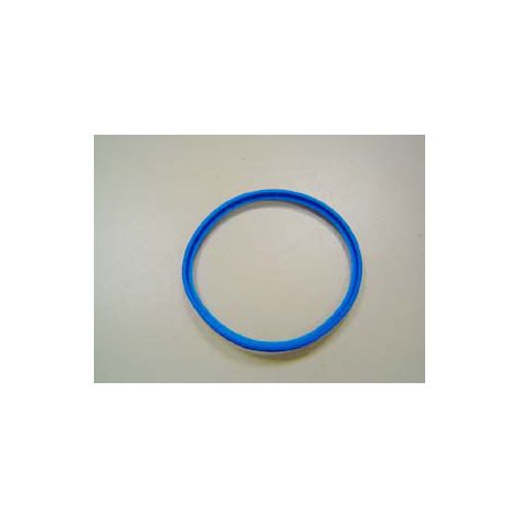 Remeha PPS Dichtung DN100, M85016