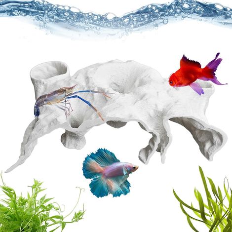 Tunnel pour Poisson D Aquarium - Jouet pour Betta Crevette Caverne À (1/5)