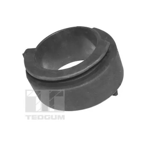 Patin de ressort Tedgum TED33411 FIAT 51880559