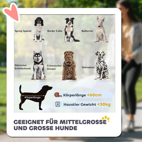 Chariot pour chien pliable, système One-Click, 2 laisses de sécurité, gris foncé (1/5)