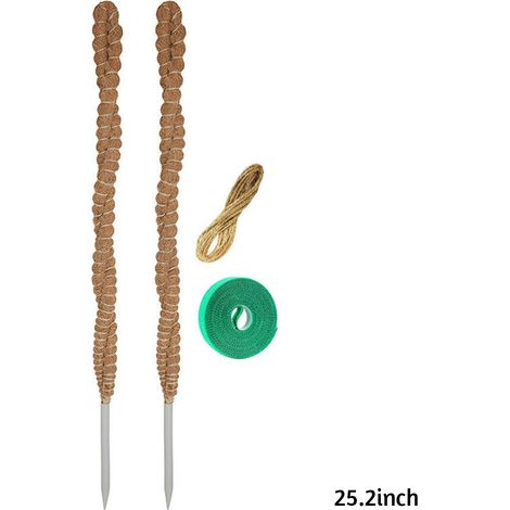 Tuteur en mousse pour plantes d'intérieur, tige de support résistante à l'usure pour plantes grimpantes, 64 cm (25,2 pouces). (1/5)