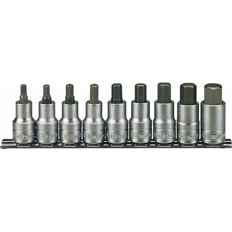 Un set di bussole con gambo esagonale (Allen) con gambo quadrato da 1/2". Teng Tools M1212