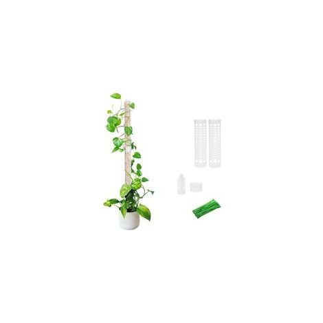2pcs Tuteur Plante Grimpante en Pot - Poteau de Mousse Extensible pour Monstera Deliciosa - Support pour Plantes Grimpantes Intérieur/Extérieur avec Piquets de Terre (1/5)