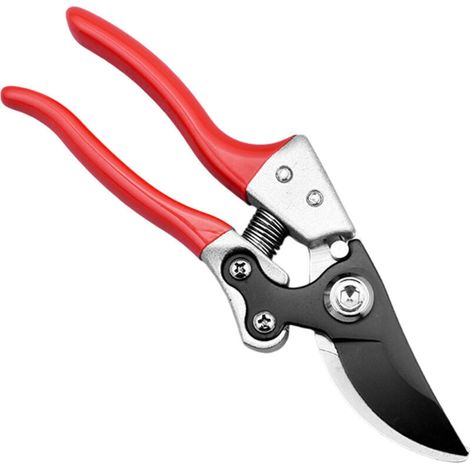 Cisailles de Jardin pour Taille d'Arbres Fruitiers et Coupe de Branches - Outils d'Élagage et de Jardinage