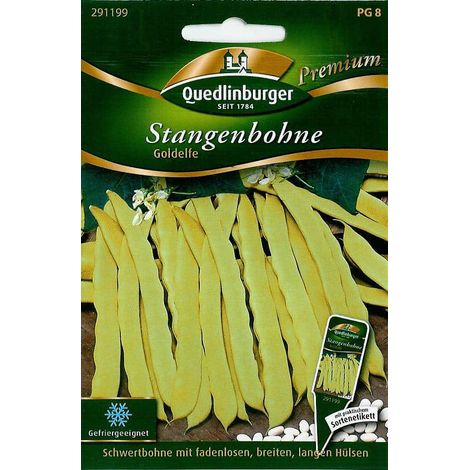 Quedlinburger Stangenbohne Goldelfe - Premium Gemüsesamen (1/2)