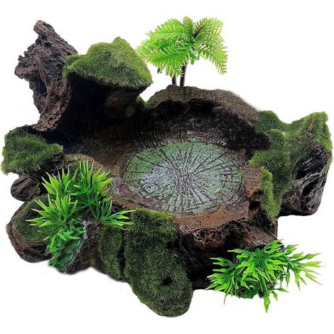 Mangiatoie per rettili, mangiatoie in resina per tartarughe, contenitori in vetro, piante decorative artificiali, lucertole, gechi, camaleonti, rane (1/4)