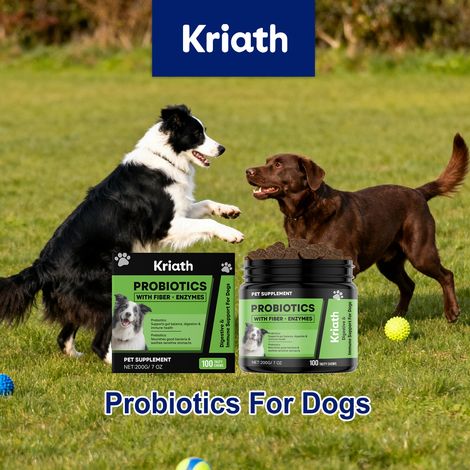 Granulés probiotiques pour chiens - Formule douce, nourrissante et favorisant la santé intestinale pour un bon transit - 200 g (1/5)