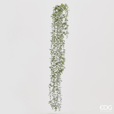EDG Cespuglio Eucalipto H 105 cm (1/4)