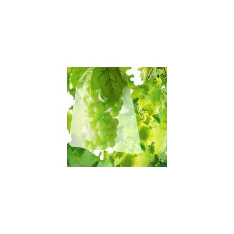 100 Sac Protection Fruits Sacs Filets Protection des Grappes de Raisins Contre Les Oiseaux et Insectes Guêpes Frelons 30 x 20 cm H206