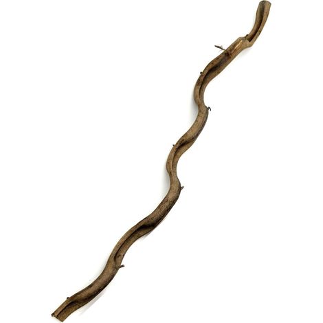 BioThai Liana 2-4cm / 100cm (1/5)