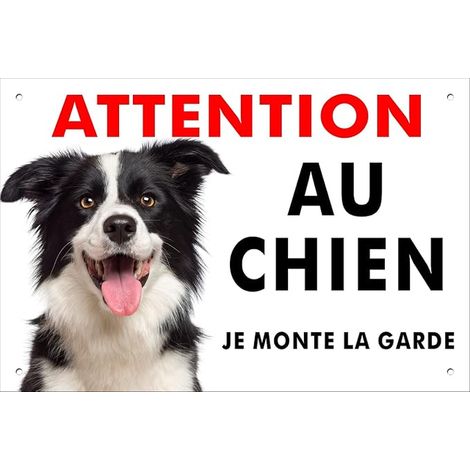 Border Collie Dog Sign, Aluminium, 3 mm (20 x 30 cm) (1/5)