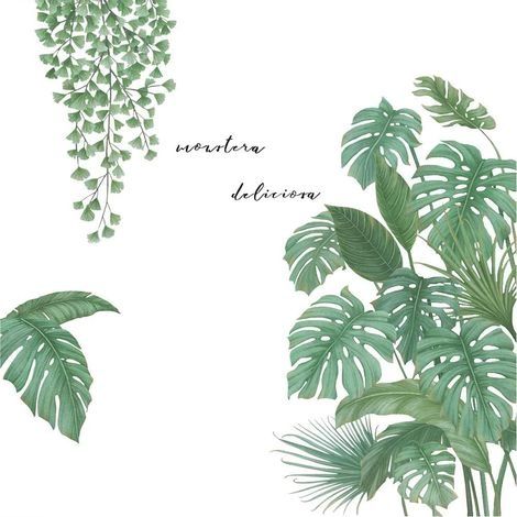 Sticker Mural Plante Tropicale, Bricolage Muraux Tropicaux Plante feuille Palmier Autocollants Convient pour Chambre à Coucher, Couloir, Bureau (1/5)
