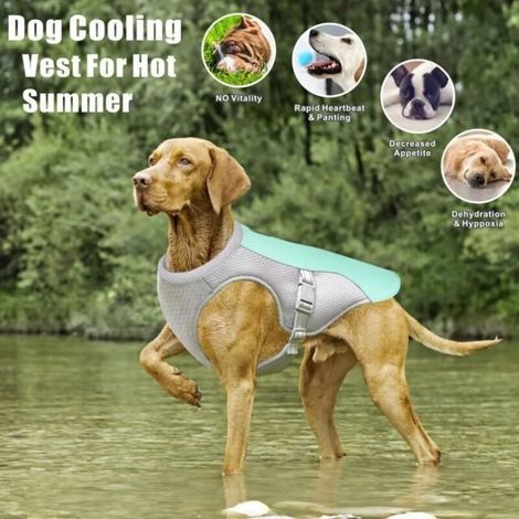 Kühlweste für Hunde – Blau – Atmungsaktives Netzgewebe – Verstellbar – 6 Größen verfügbar (1/5)