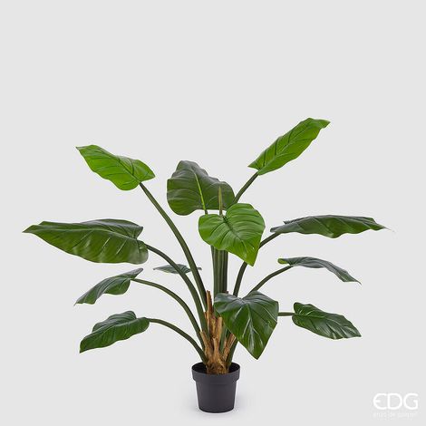 EDG Enzo De Gasperi Filodendro Chic con Vaso Artificiale H 138 Cm Green (1/5)