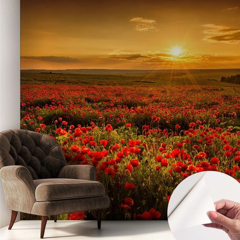 Fotomurale adesivo stickers - per camera da letto - per corridoio - decorazione casa moderna Campo di papaveri 250x250 cm (1/5)