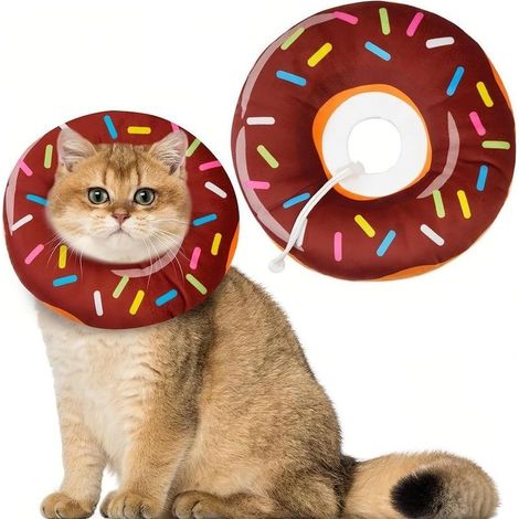 Collerette Récupération Protection Lavable pour Chat et Chien, Collier Post Opératoire, 25CM L Collerettes pour Animaux de Compagnie (1/5)