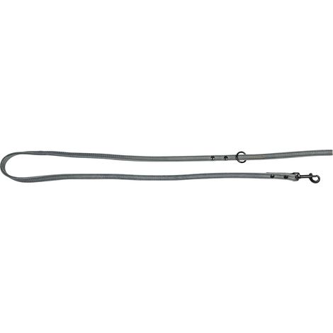 Laisse pour Chien 120 cm x 10 mm Gris