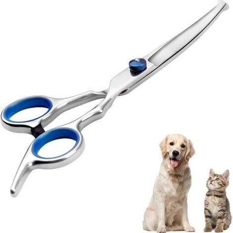Ciseaux pour Chien Acier Inoxydable Tranchant Ciseaux Toilettage Chien Professionnel Chats Chiens et Animaux de Compagnie (1/4)