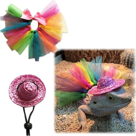 Lot de 2 costumes de dragon barbu, chapeau + jupe tutu, petite tenue pour lézards, cochons d'Inde, serpents, rats, furets (1/5)