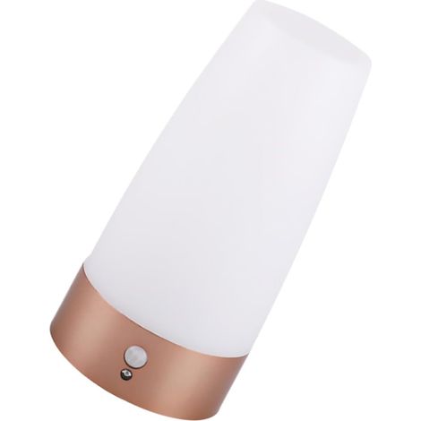 Veilleuse D'allée Fonction Économie D'énergie à Détecteur de Mouvement 60 Lumens Éclairage Blanc Plastique Solide pour Escalier et Chambre D'garçon et Filles (1/5)